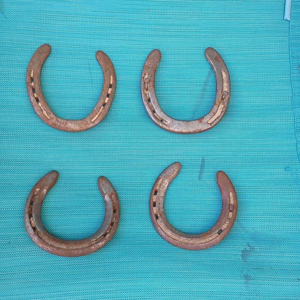 4 Heavy Solid Weathered Horseshoes Primitive Farmhouse Equestrian Luck Decor